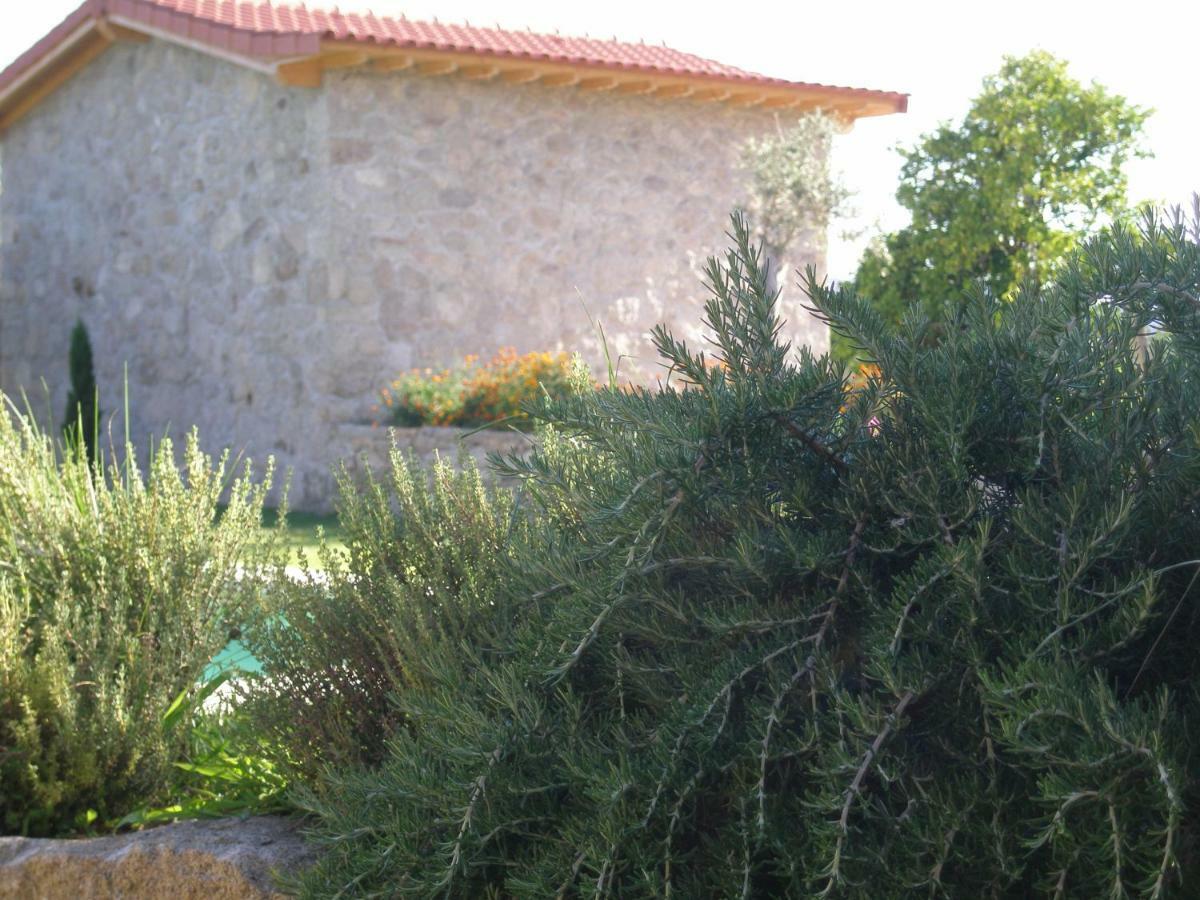 Eido Da Portela - Casa De Campo Carregadouro Εξωτερικό φωτογραφία